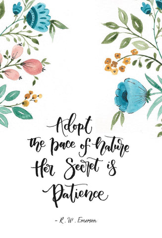 Adopt The Pace Decal